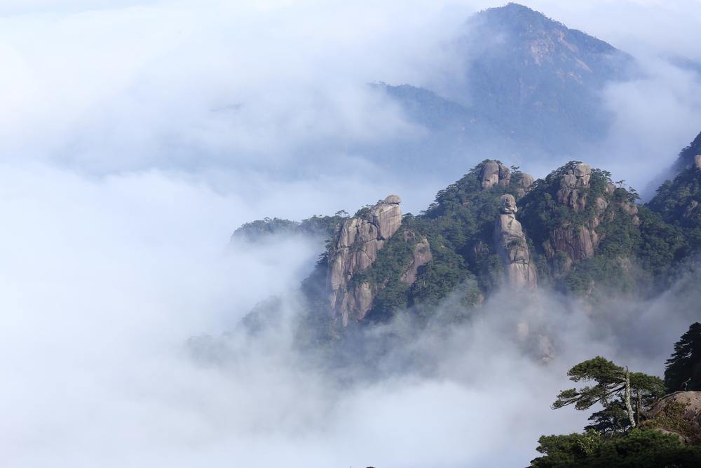 Cloud Tea - a Refreshing Green Tea from China Top Tea List