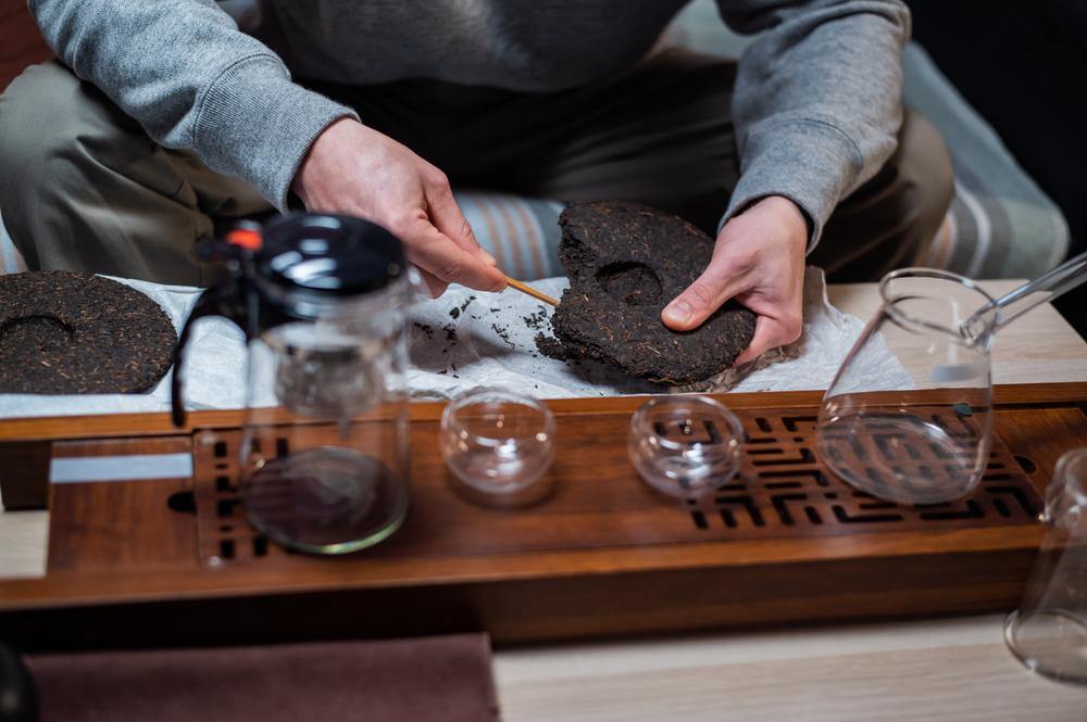 A Pu-erh Tea Tasting